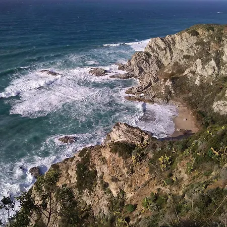 Loiacono - Seaview Appartaments *